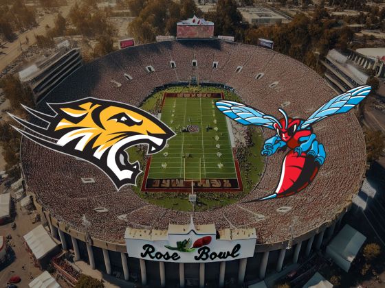 Delaware State Hornets vs. Towson Tigers
